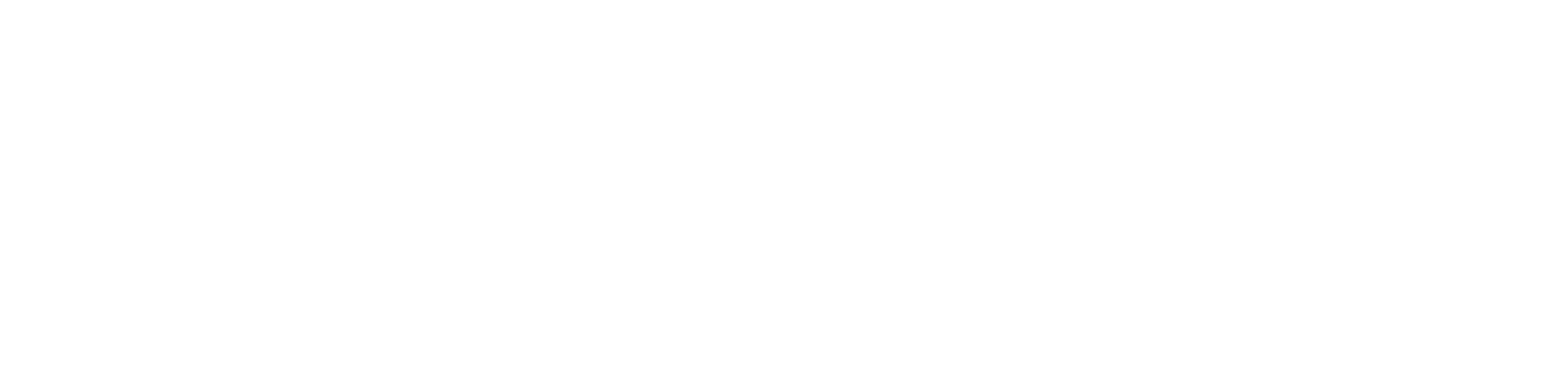 Emmigo Logo